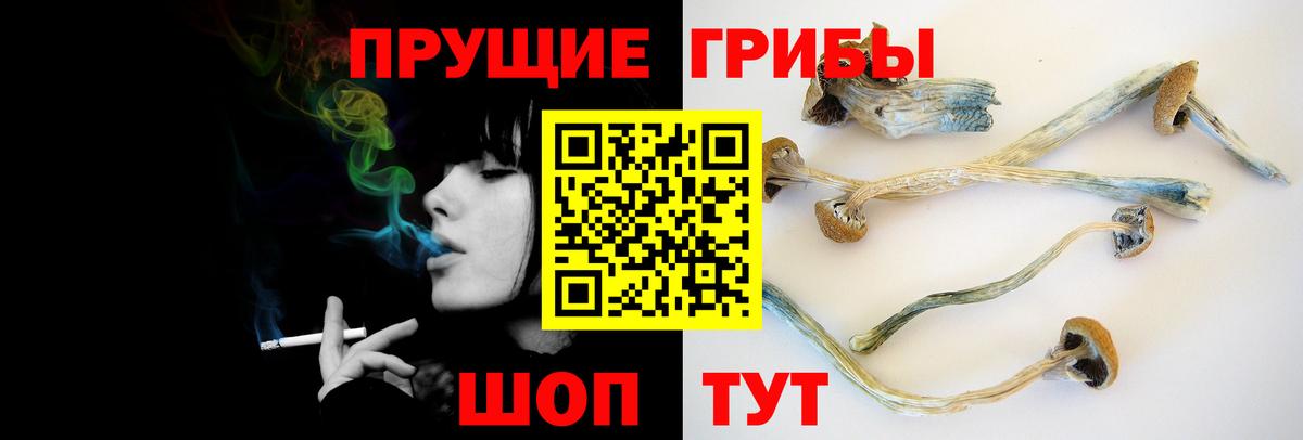 хочу   Псилоцибиновые грибы MAGIC MUSHROOMS  Вход с VPN  Петрозаводск  Псилоцибиновые грибы мухоморы 